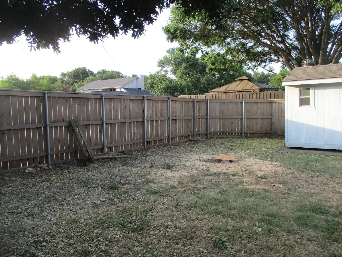 Cleared yard after professional tree removal in Zurich