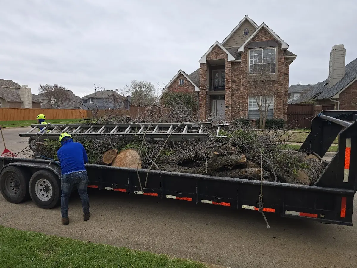 Expert Tree Pest Control with proper safety equipment in Zurich